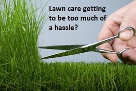No Hassle St. Louis Grass Cutting And Lawn Care