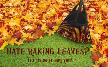 St. Louis Lawn Care For All Seasons